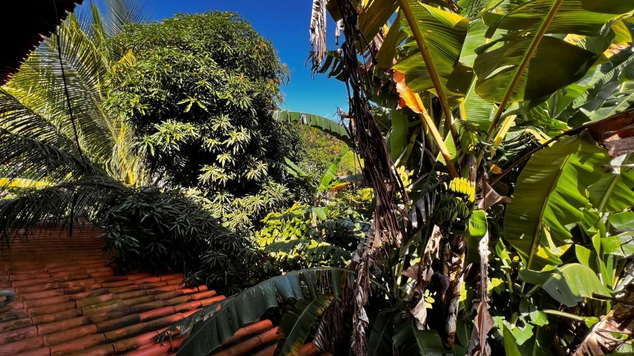 巴拉格兰德 Pura Vida Surf House酒店 外观 照片
